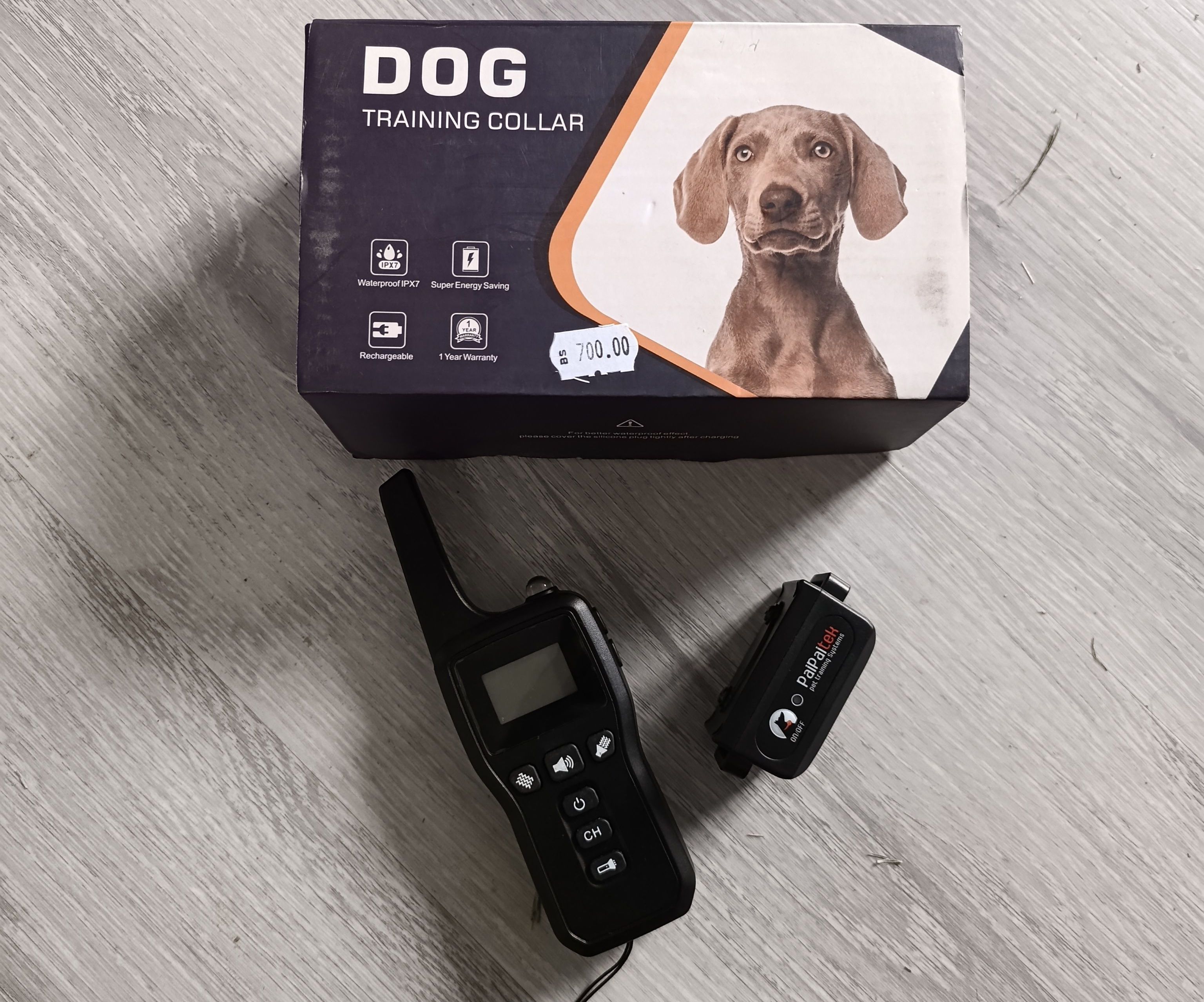 Training collar