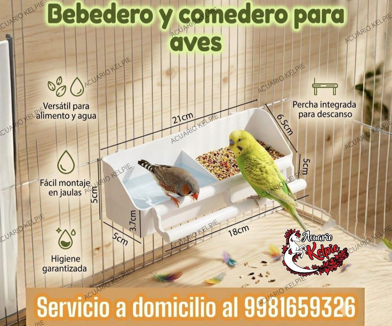 2 en 1 bebedero y comedero para aves