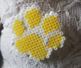 Pin Huella