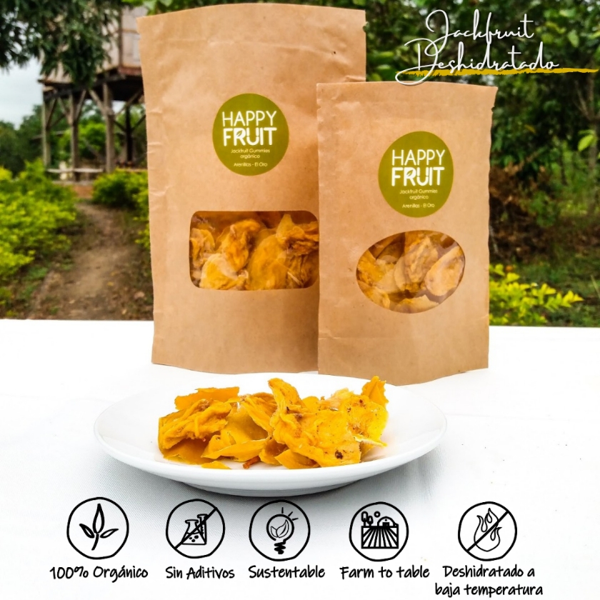 Jackfruit Deshidratado bolsa 40gr