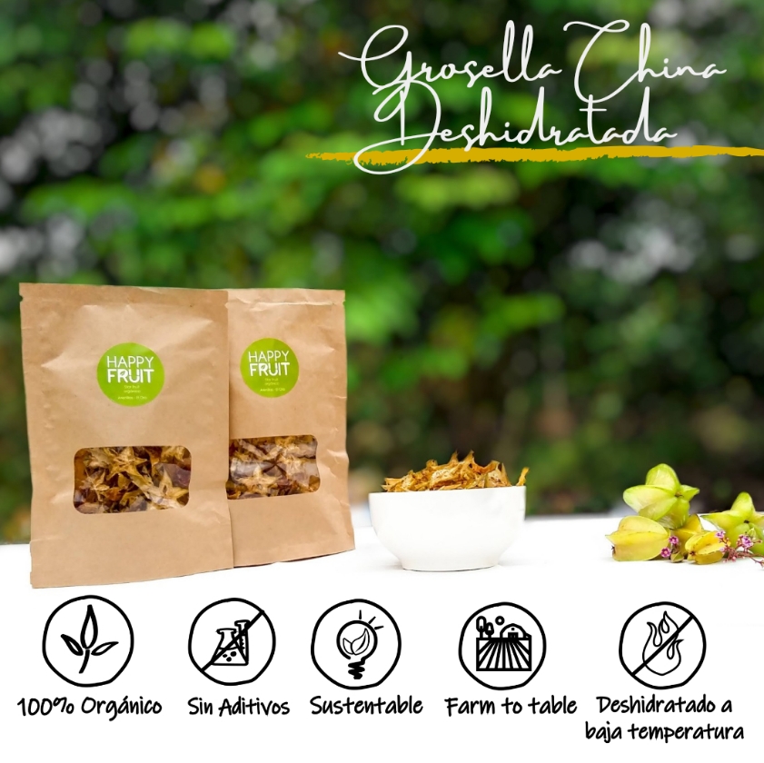 Grosella China Deshidratada bolsa 40gr