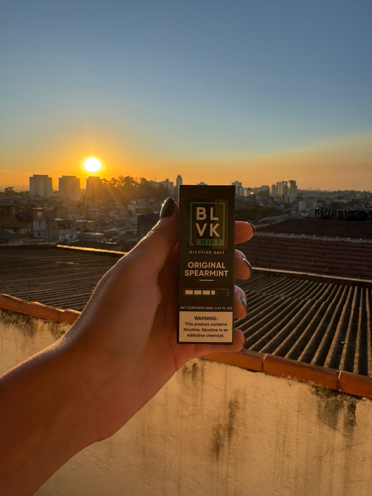 Blvk Original Spearmint 30ml