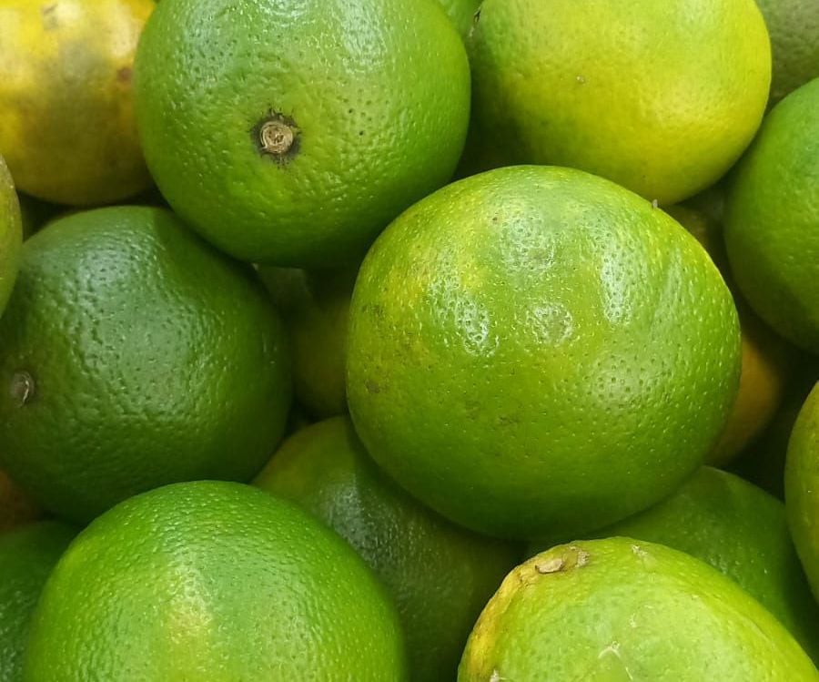 Laranja 1Kg