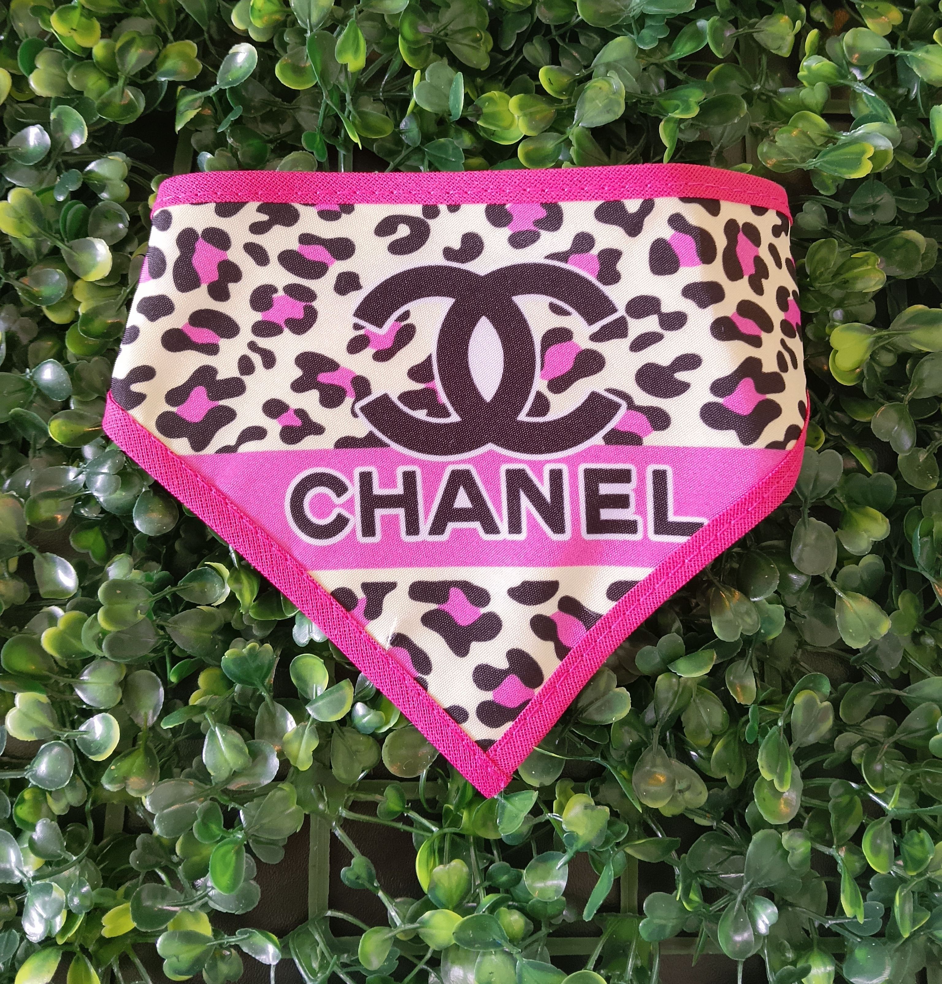 Bandanas P Femea