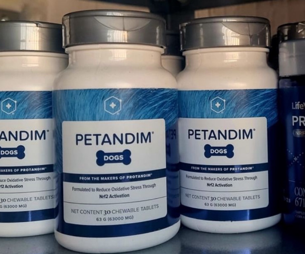 Petandim