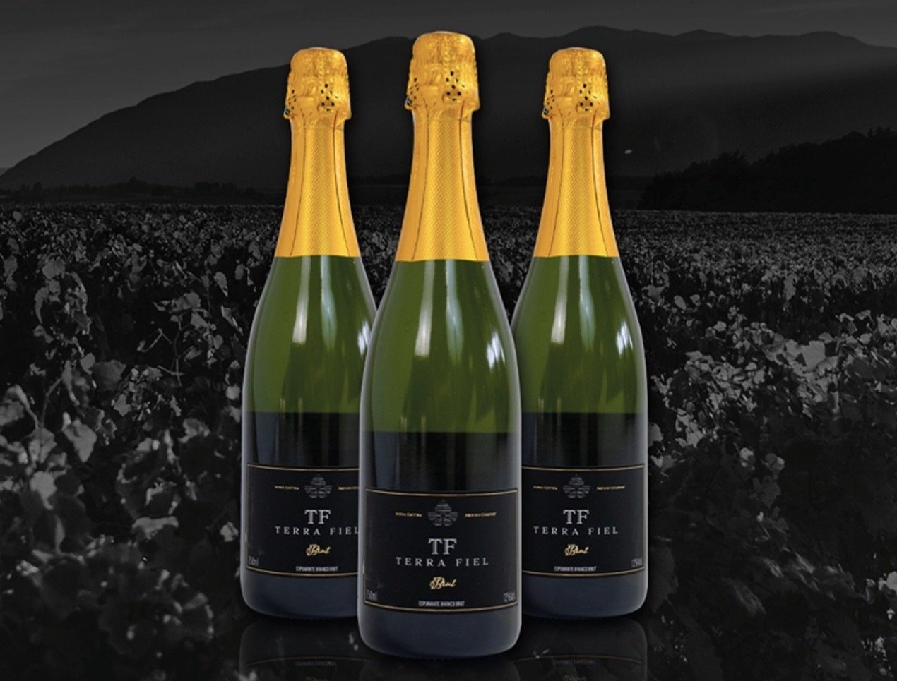 Espumante Branco Terra Fiel - Brut