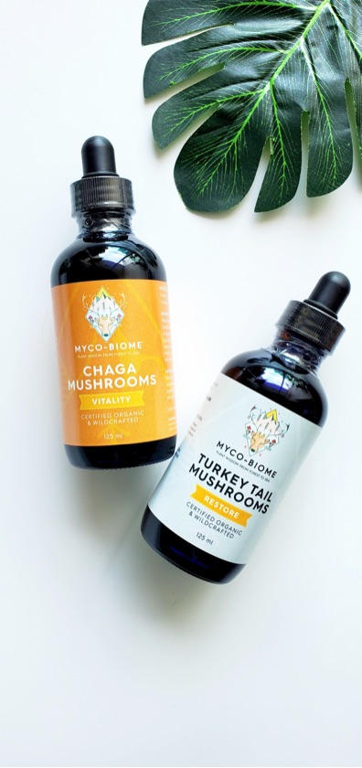 Adored Beast Medicinal Mushroom - Chaga 125 ml
