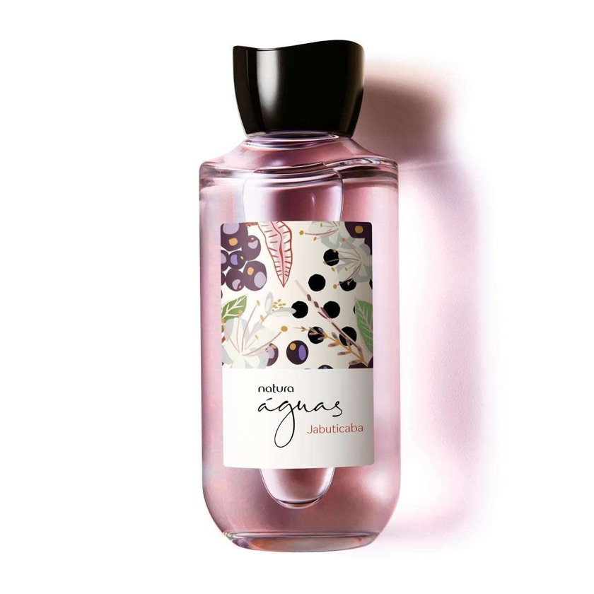 Águas Jabuticaba 170ml