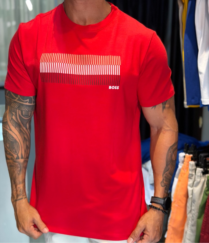 Camiseta Hugo Boss (G)