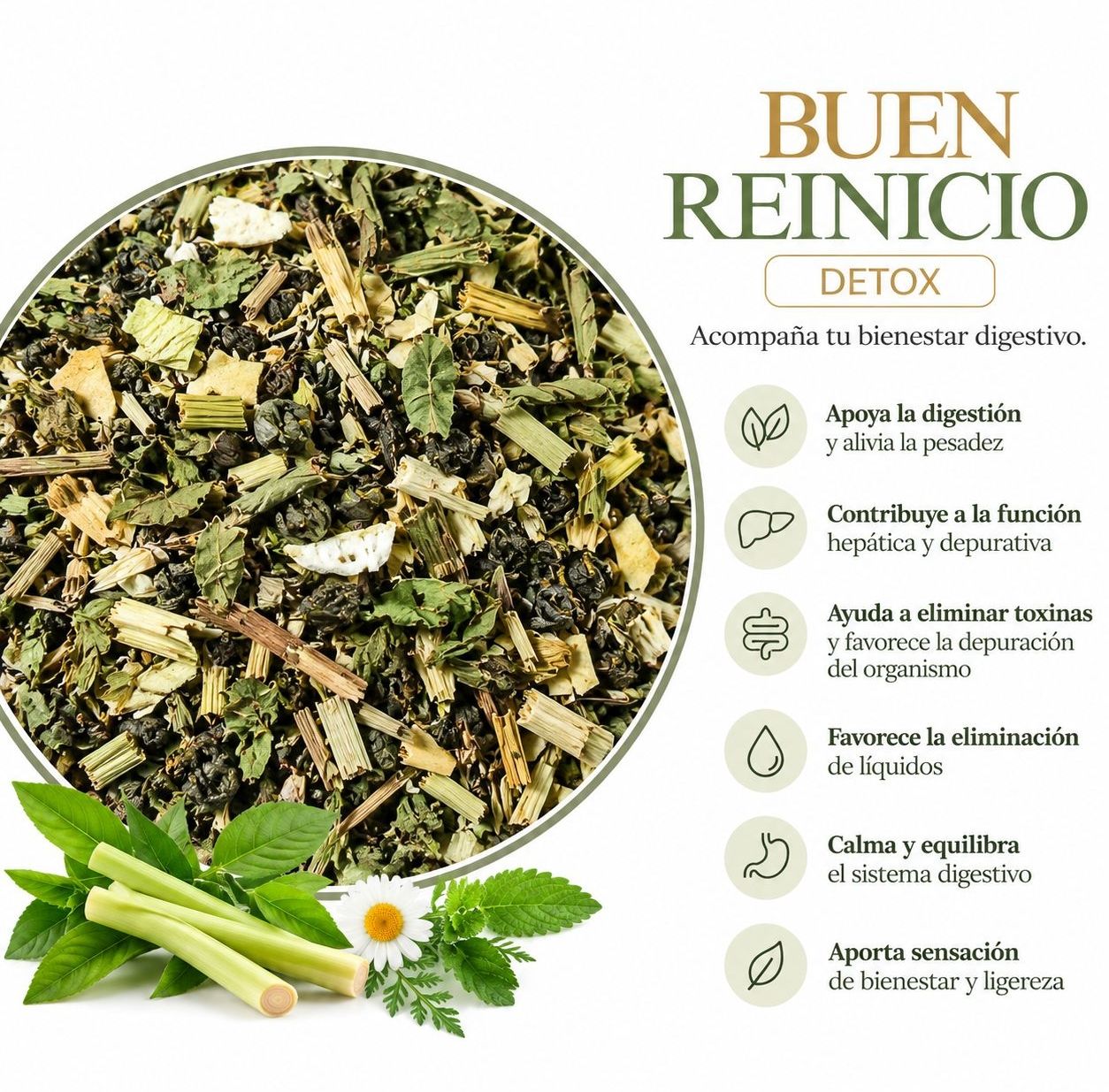 BUEN REINICIO té blend detox - depurativo 10 bolsitas