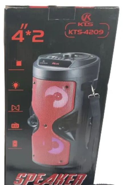 Caixa KTS-4209/ZKS-4209 Speaker