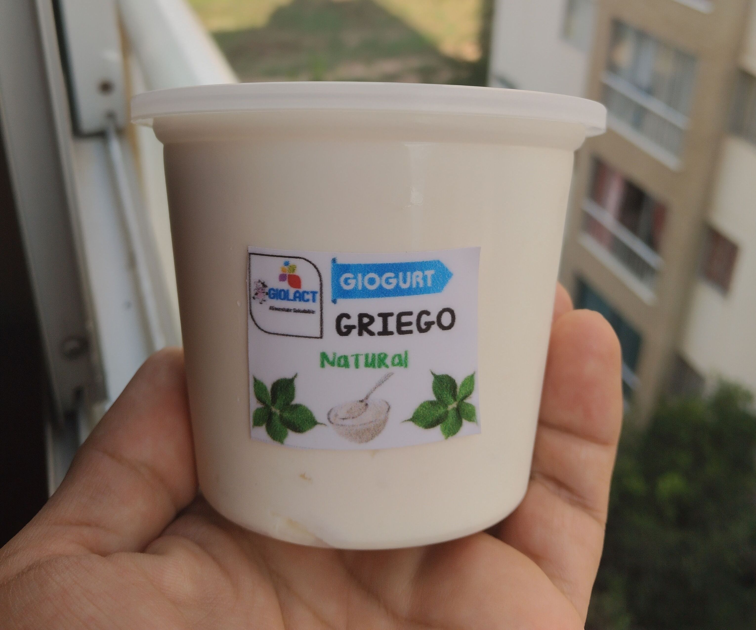 Giogurt Griego 230 gr