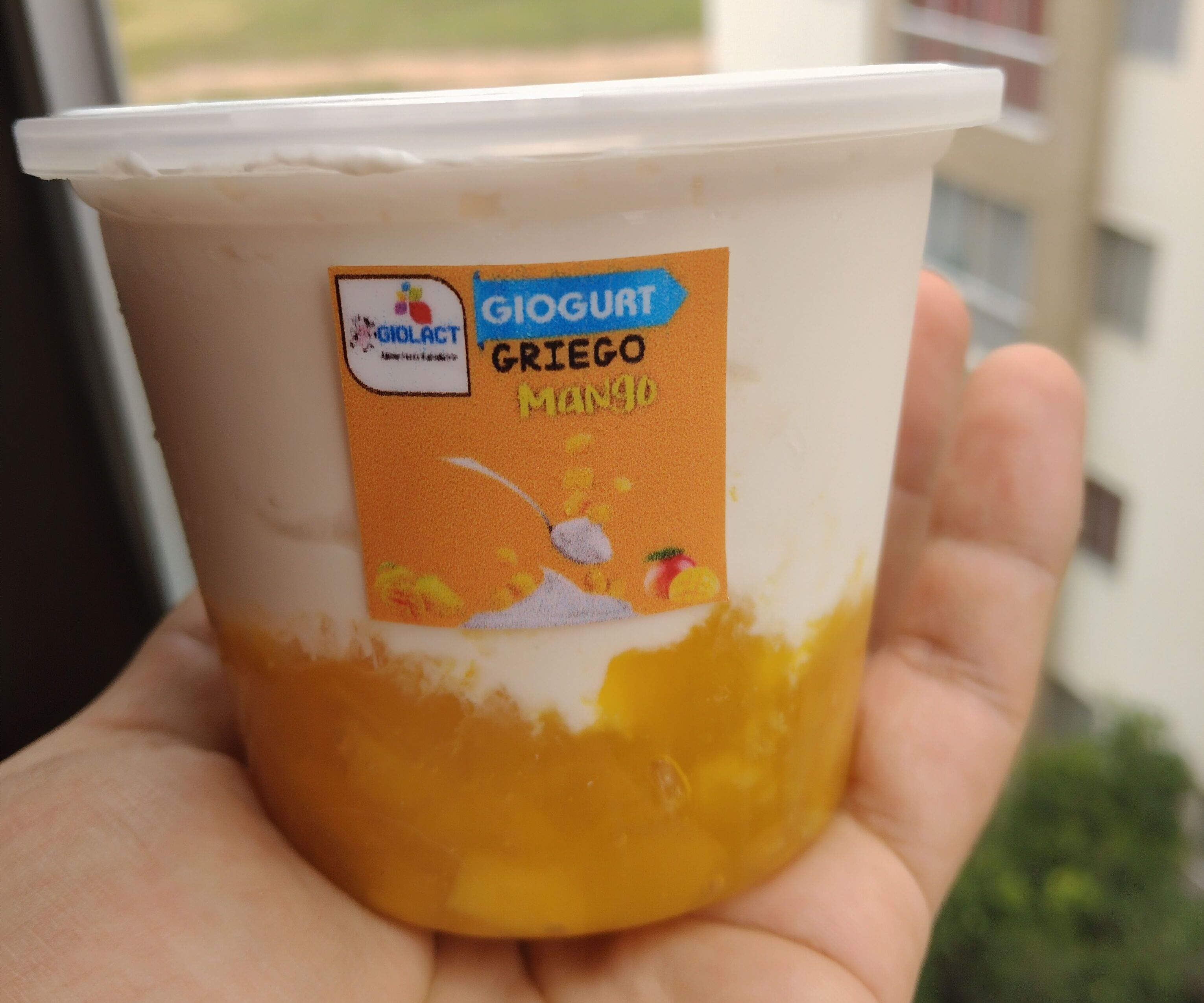 Giogurt Griego 230 gr