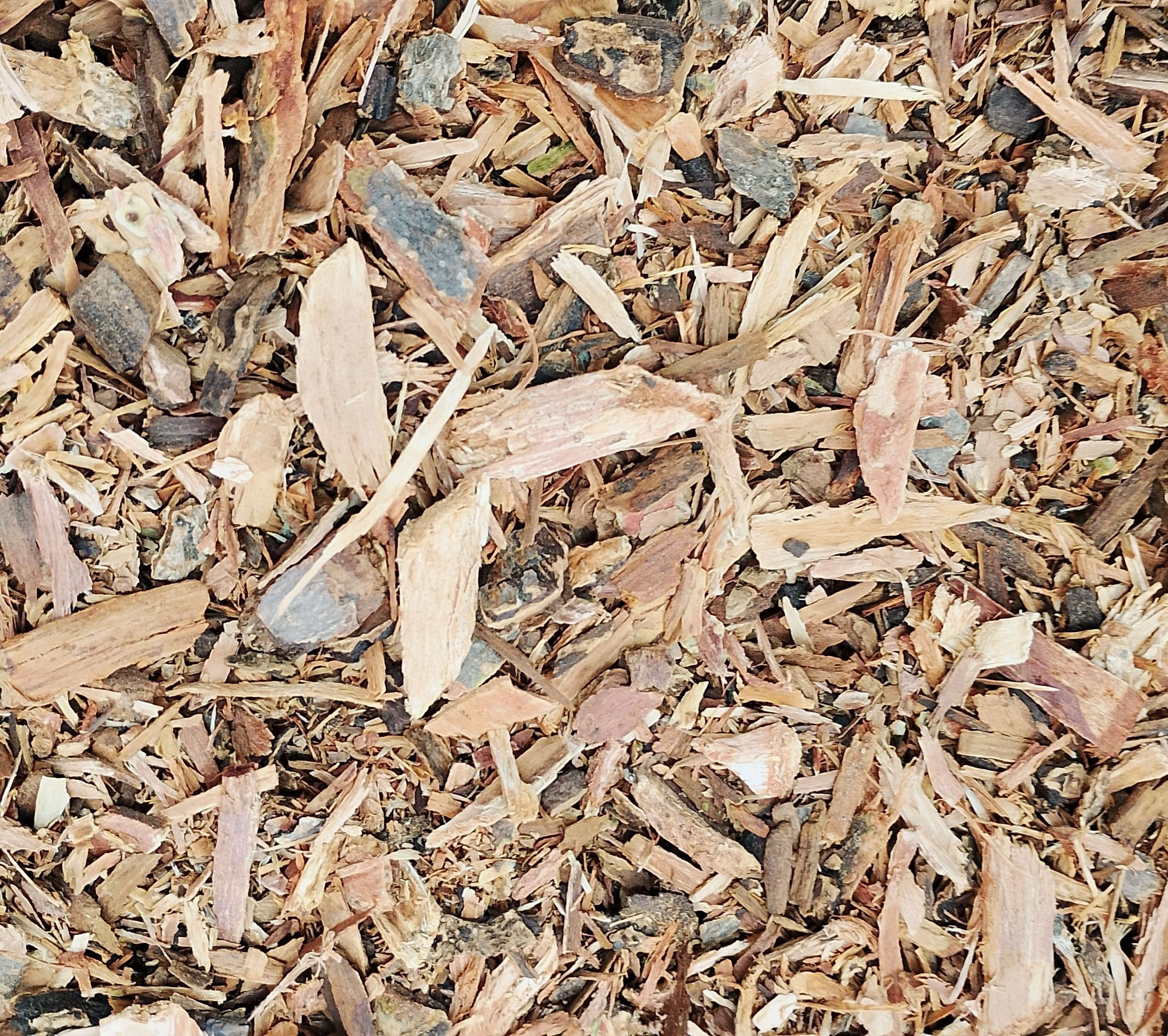 AROEIRA CASCA
