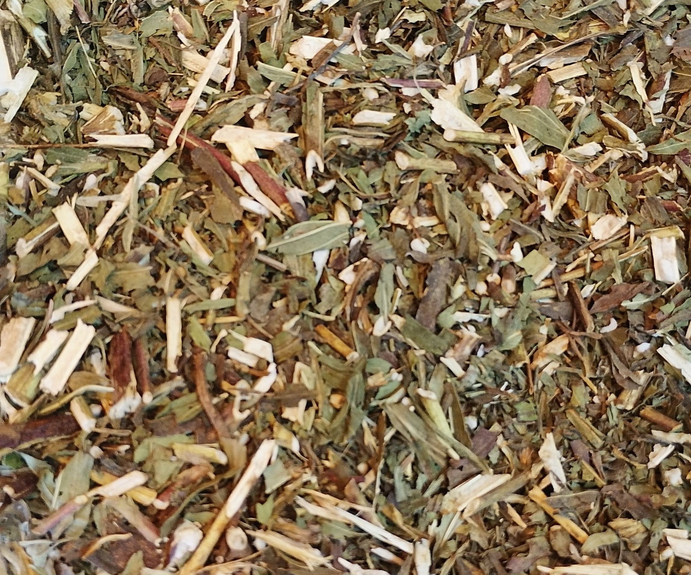 ARNICA