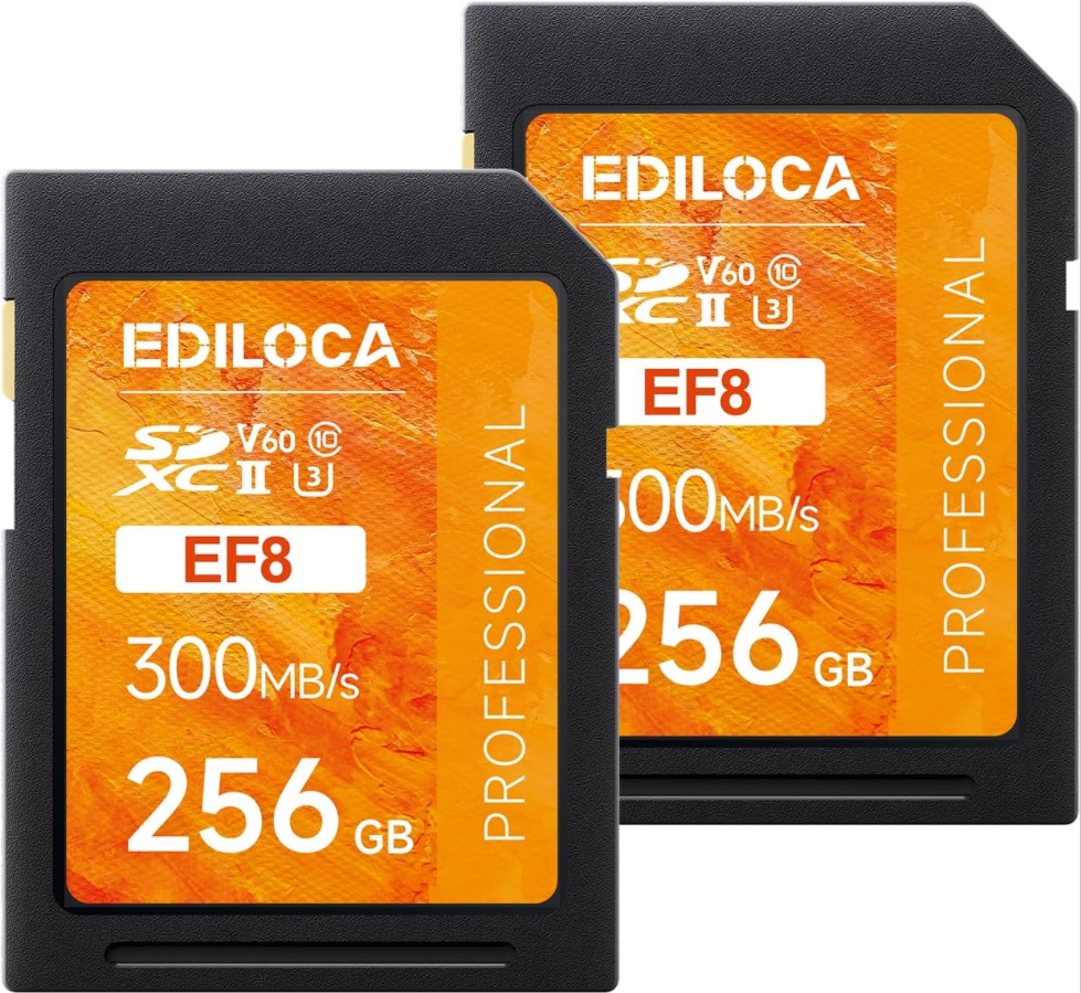 2 pack Tarjeta SD UHS-II de 256 GB V60 Tarjetas de memoria para cámara profesional 4K/6K Video
