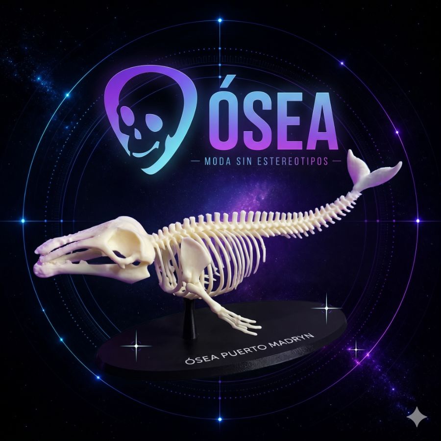 Adorno 3D Ósea Esqueleto Ballena