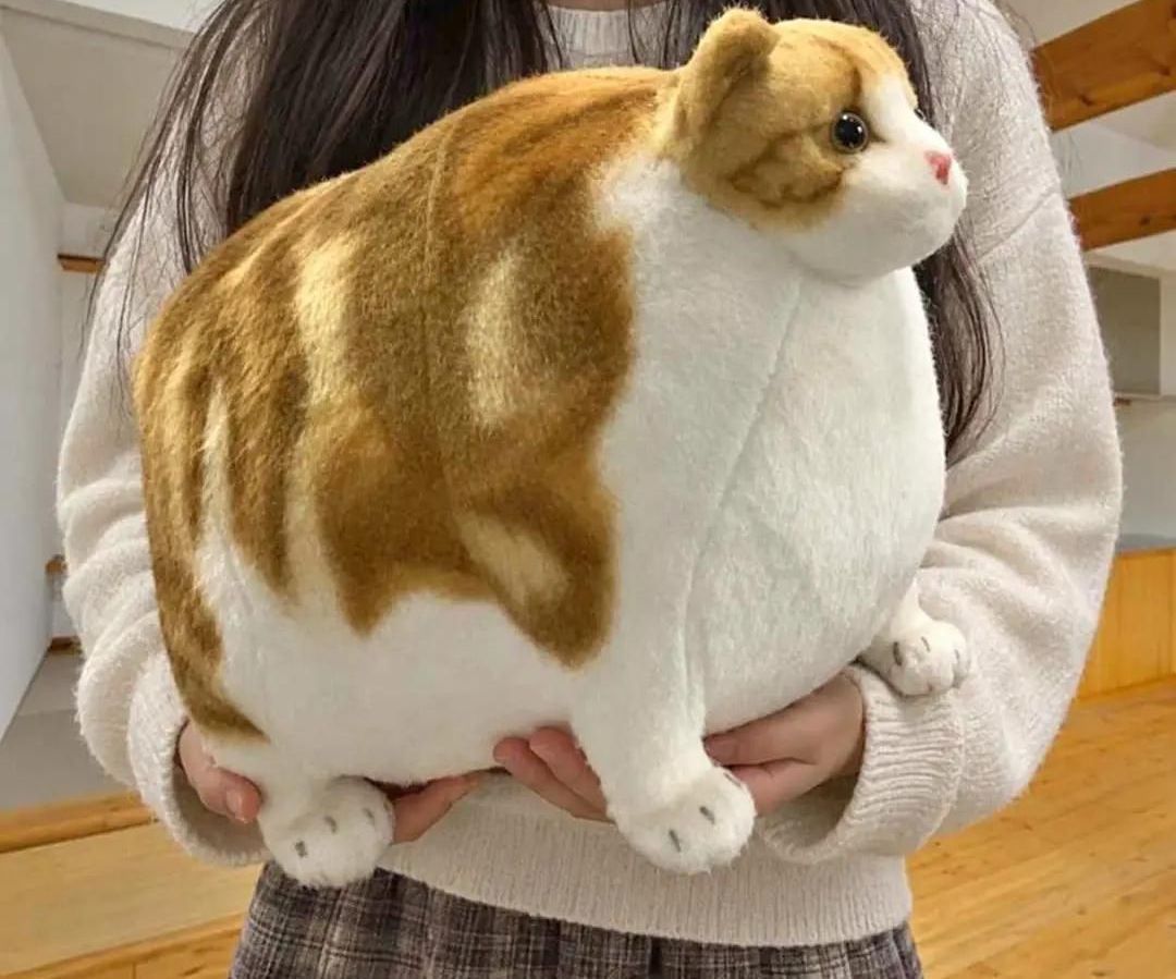 Peluche gato gordo panzón.