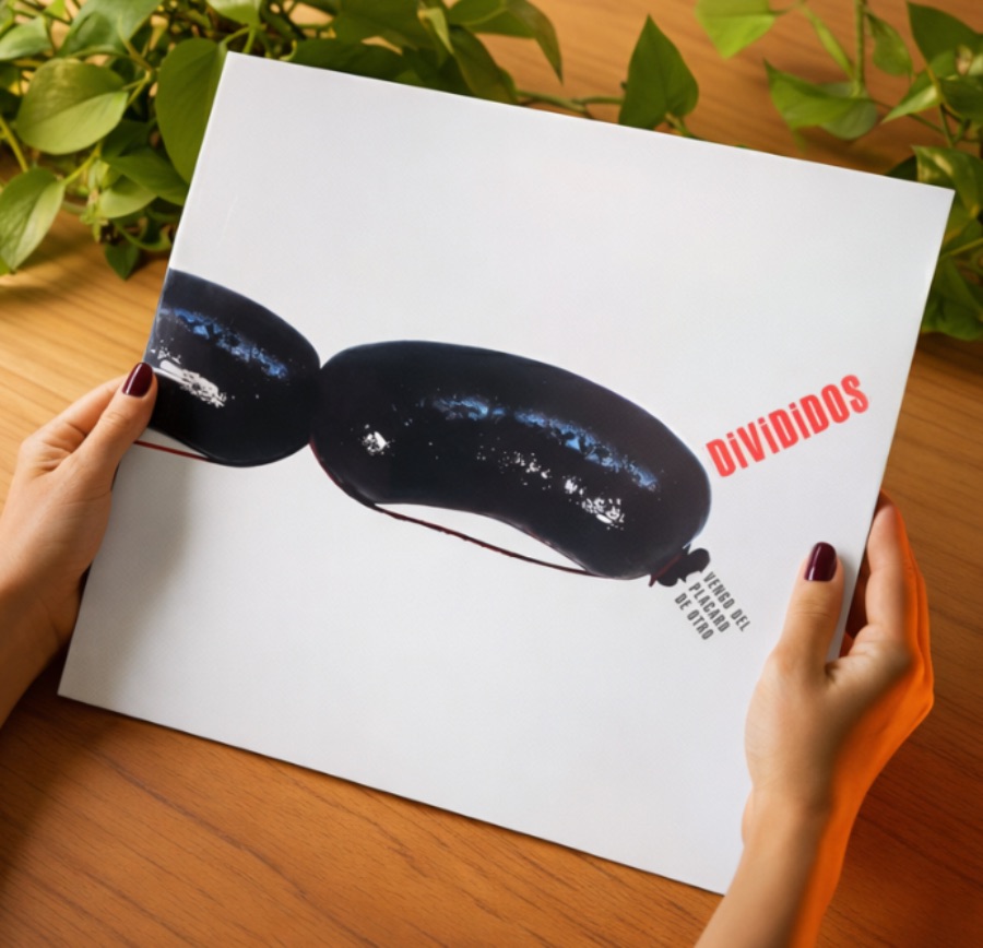 Divididos - Vengo del Placard de otro (2LP)