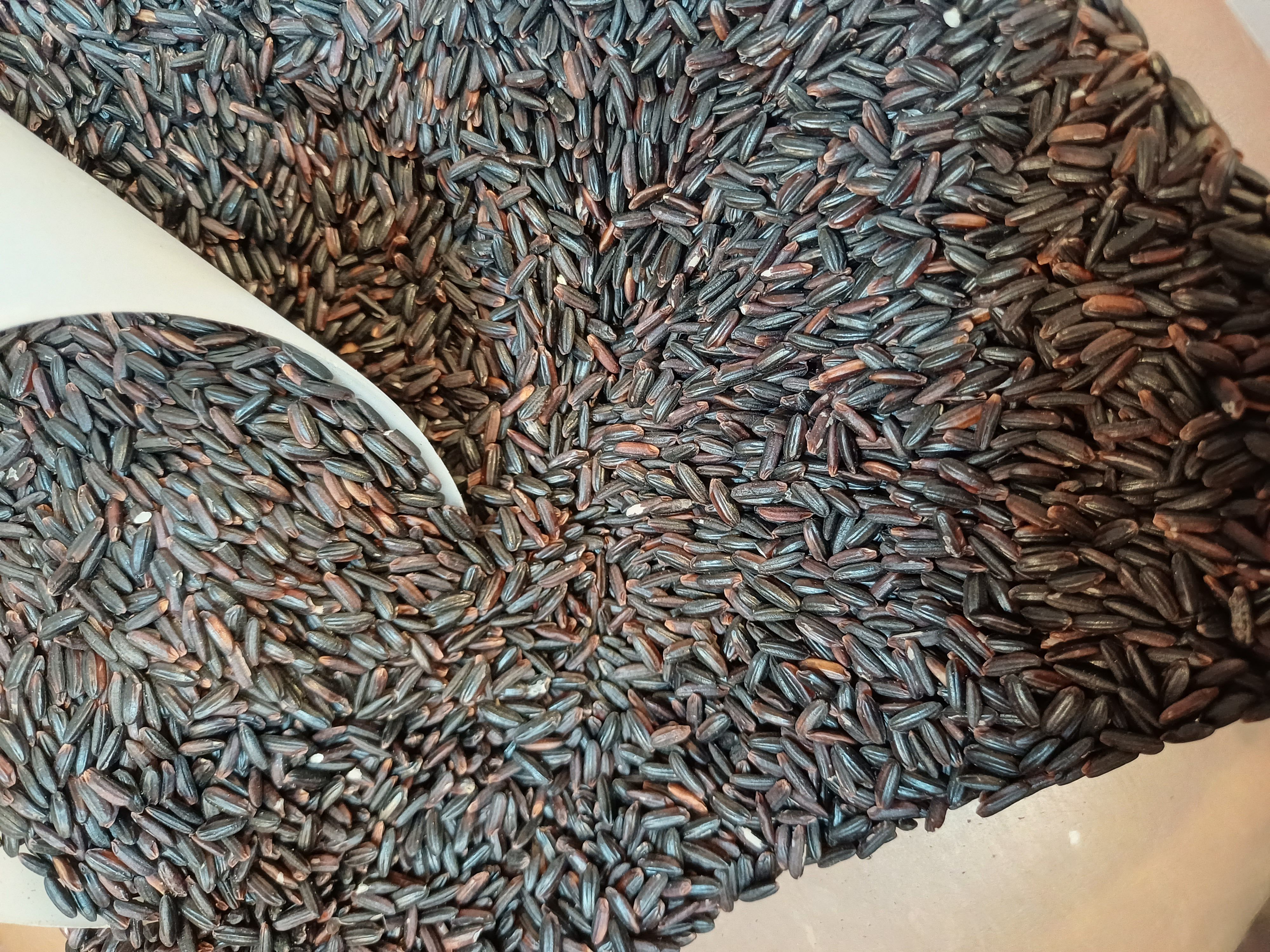 ARROZ NEGRO