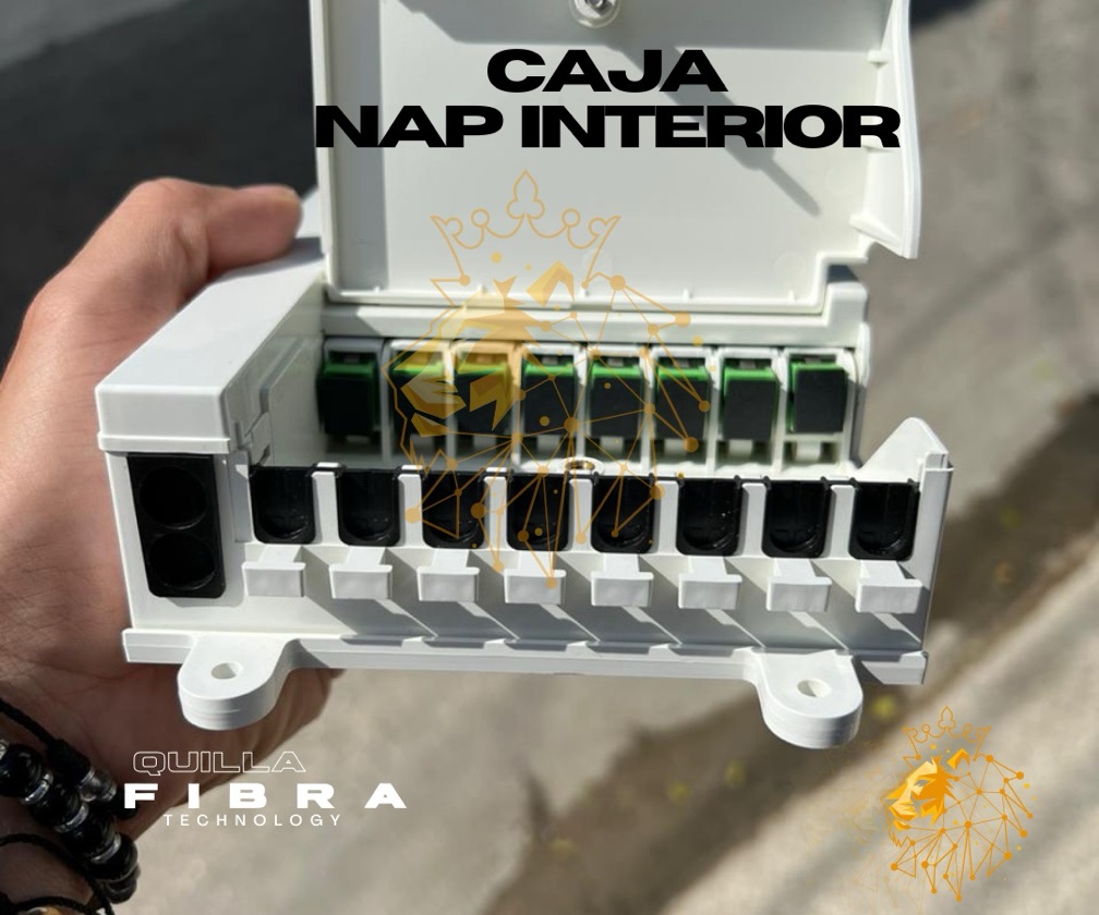 Caja Nap interior