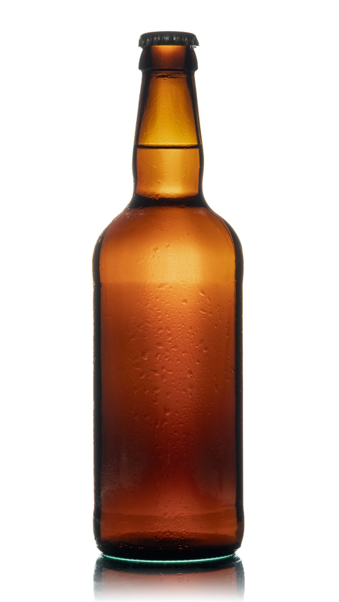 Cerveja Pilsen (500ml)