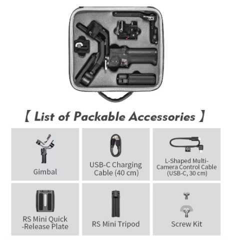 Case portátil para DJI Ronin RS 3 Mini