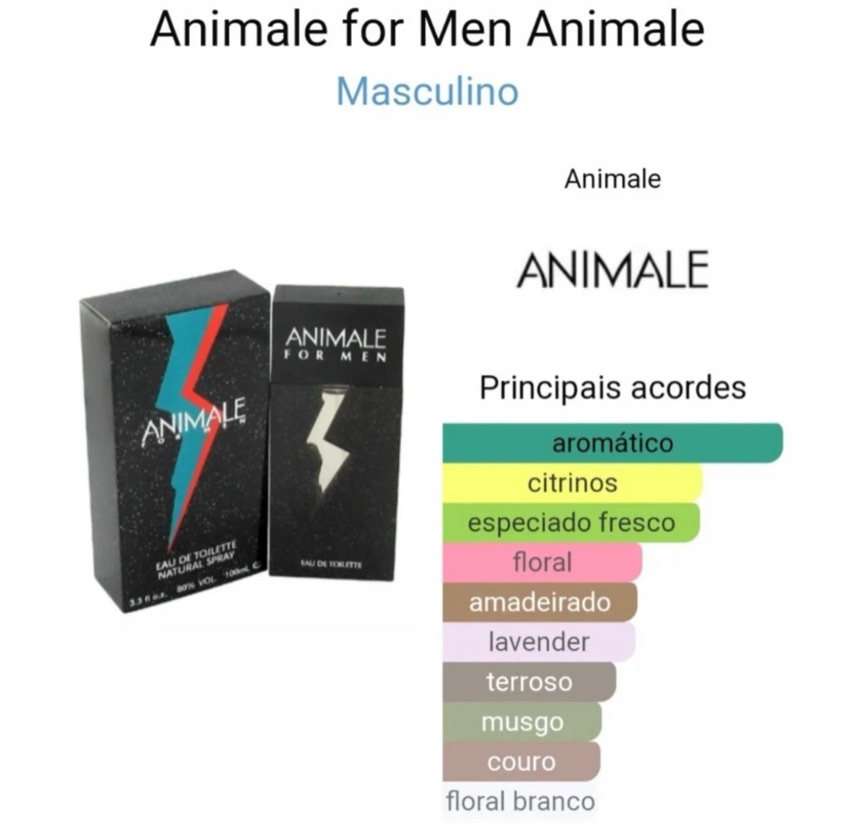 ANIMALE FOR MEN 100ML MASCULINO ORIGINAL