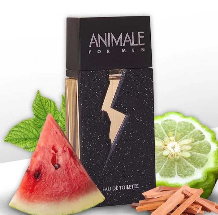 Perfume Animale For Men 100ml Masculino