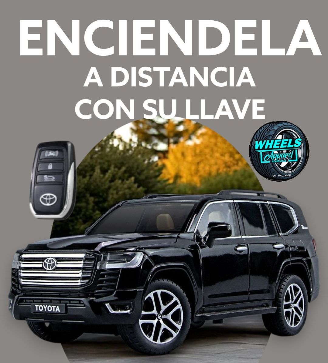 TOYOTA LAND CRUISER CON LLAVE