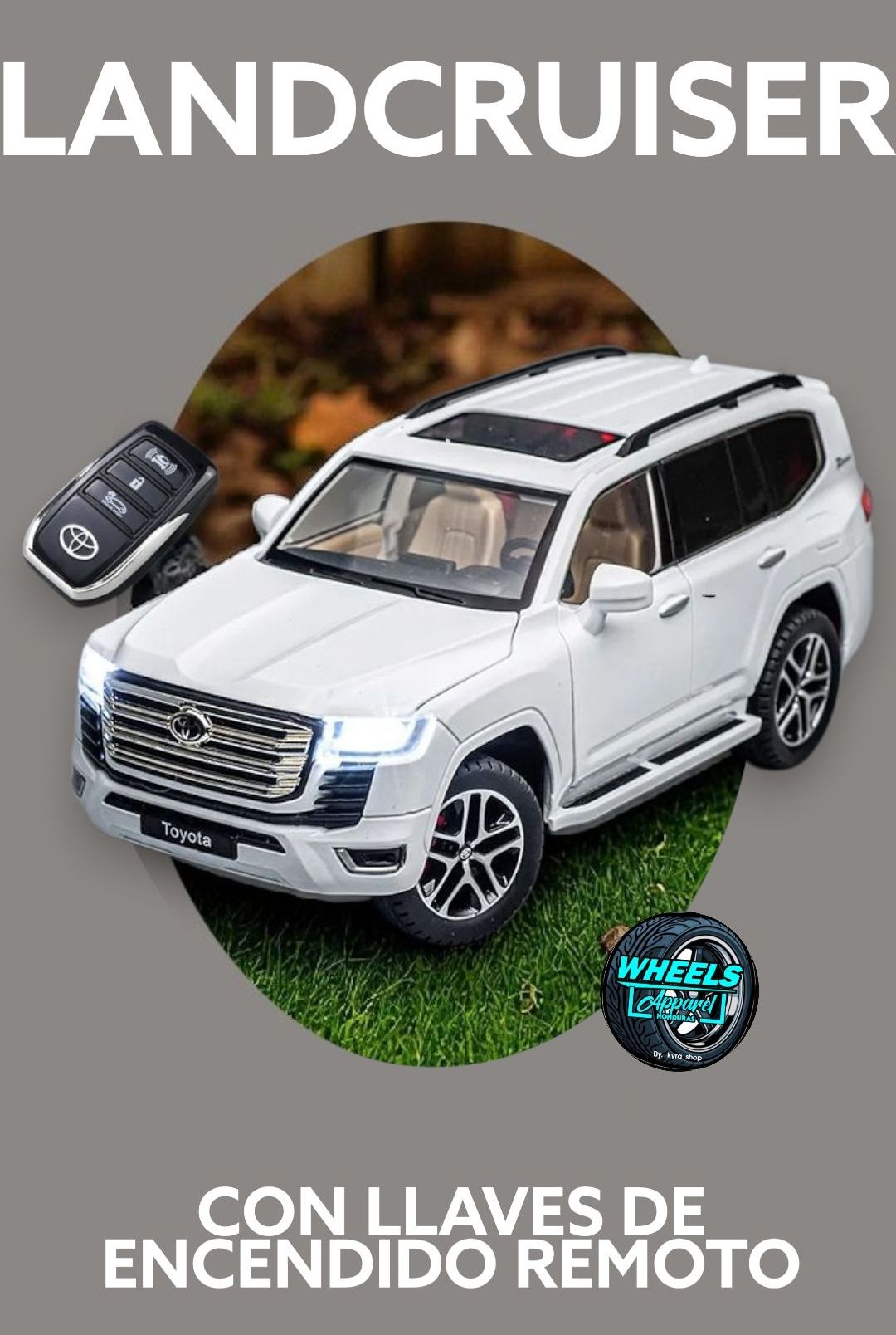 TOYOTA LAND CRUISER CON LLAVE