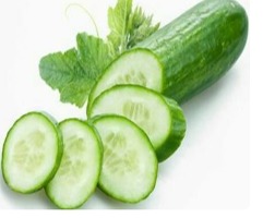Cucumber