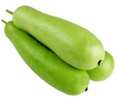 Bottlegourd