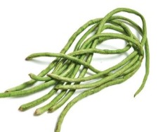 Beans Long