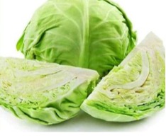 Cabbage