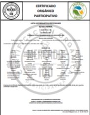 PAPA BLANCA ORGANICA (KILO)