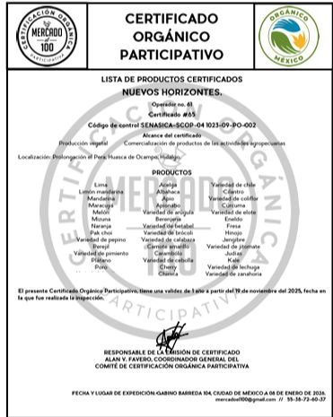 APIONABO ORGANICO (PIEZA)