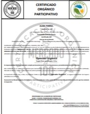 PAPA BLANCA ORGANICA (KILO)