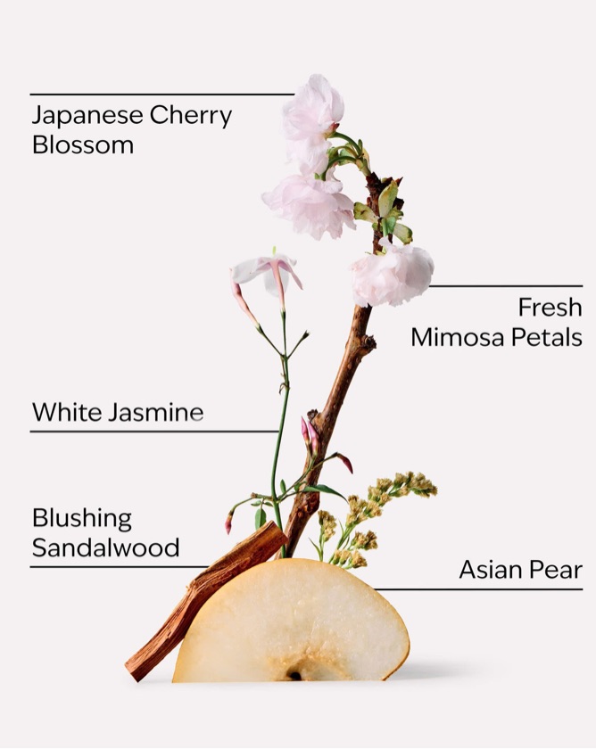 Bath & Body Works - Fine Fragrance Mist “Japanese Cherry Blossom”