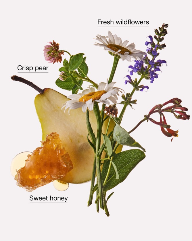 Bath & Body Works - Moisturizing PocketBac Hand Sanitizer “Honey Wildflower”