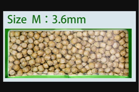 AQUA MASTER TORTUGA, PELLET M, 500 GRAMOS