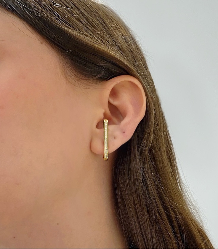Brinco Ear Hook Cravejado