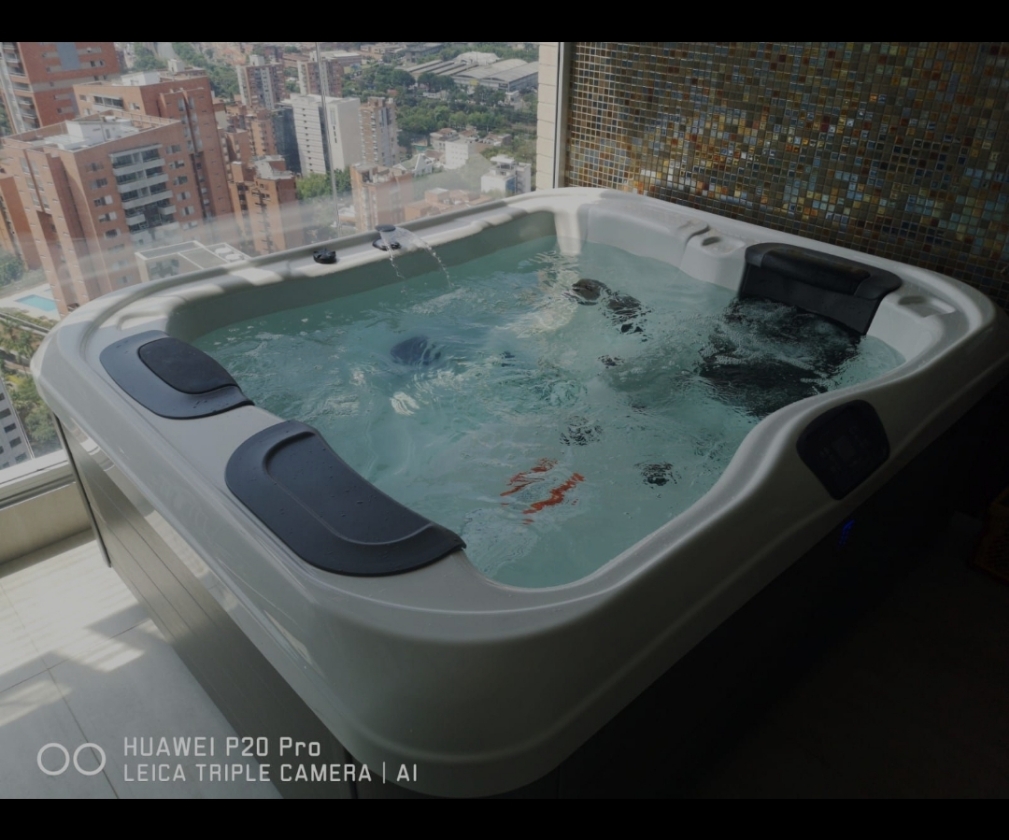 Spa bullfrog R5L
