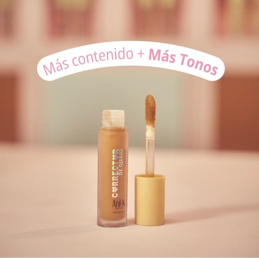 Corrector Nueva Presentación | Ani-k