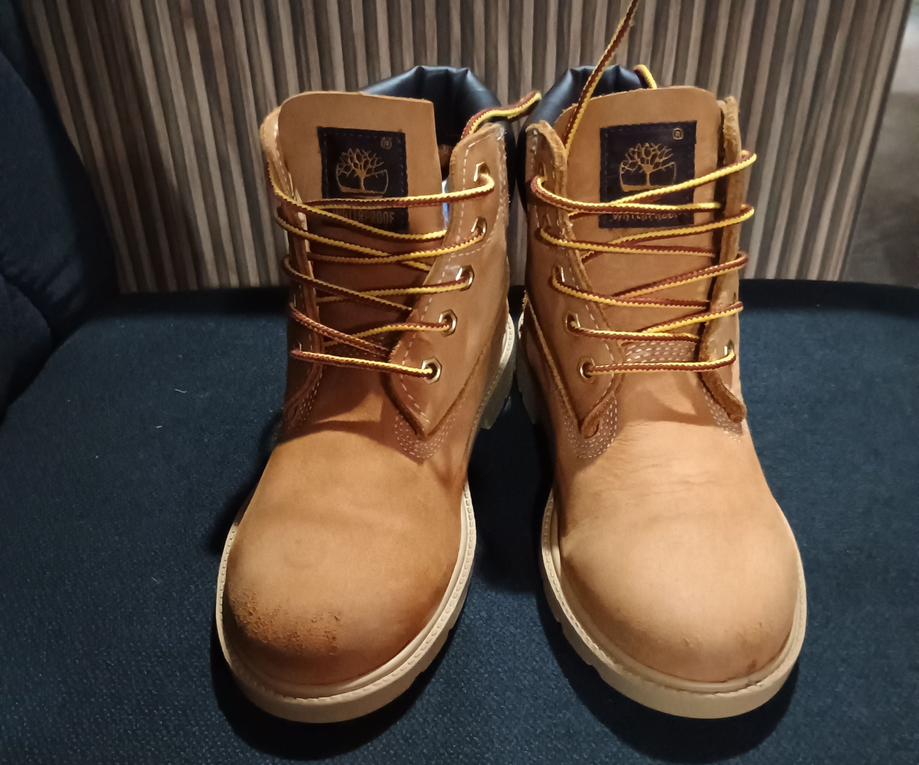 Botas Timberland Originales Niño Talla 19.5MX