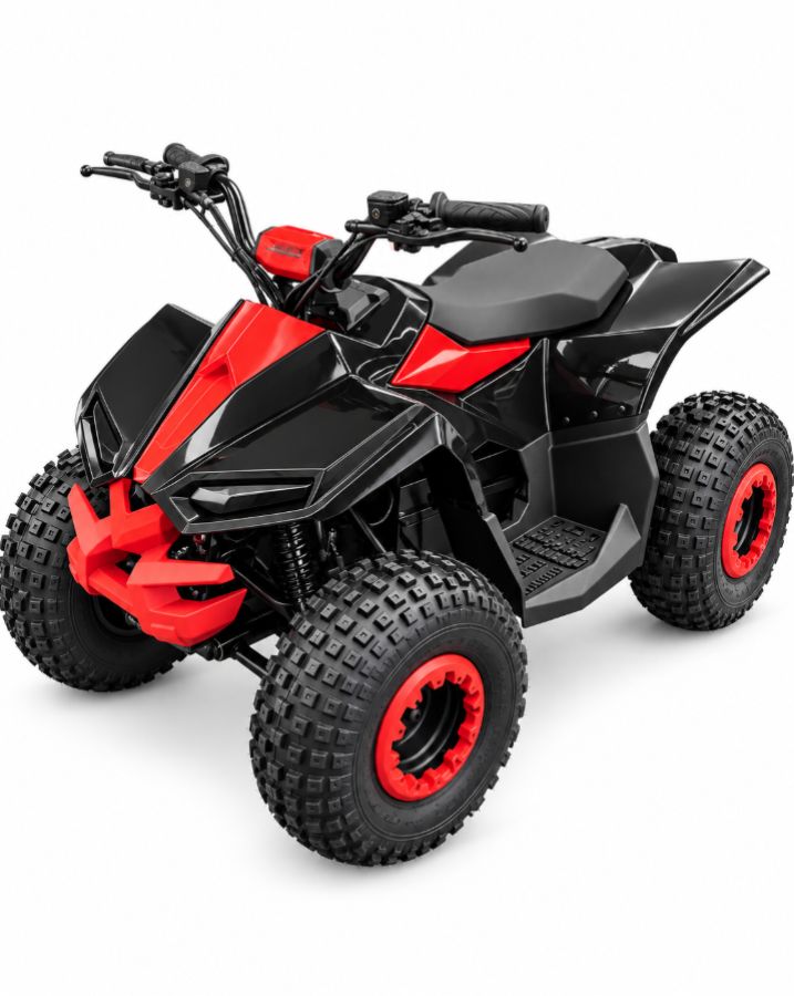 MINI ATV