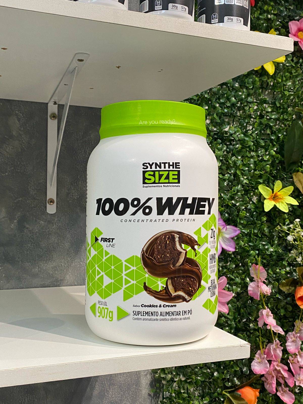 Whey 100% SyntheSize 900g