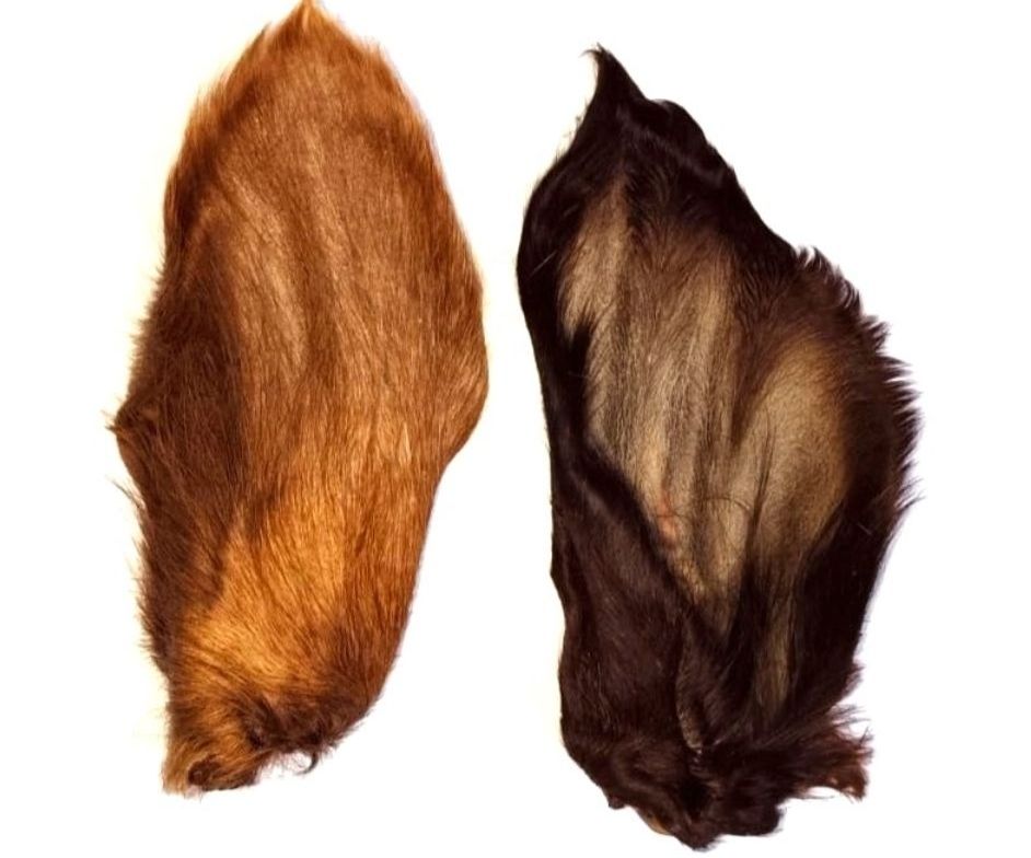 Cow Ear - Large