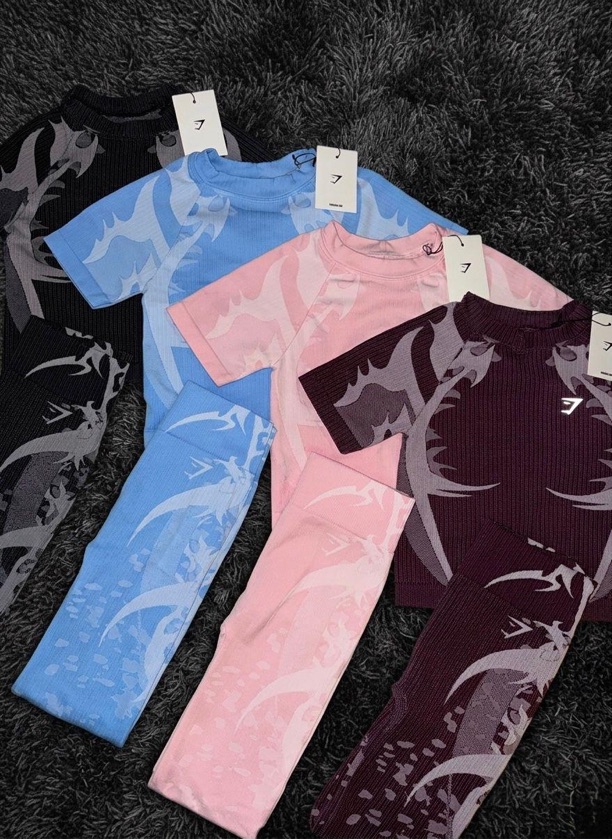GS Storm seamless leggins & top
