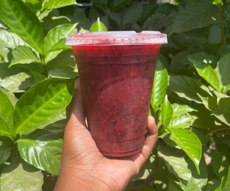 Blueberry slushy